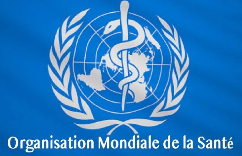 Logo partenaire : OMS